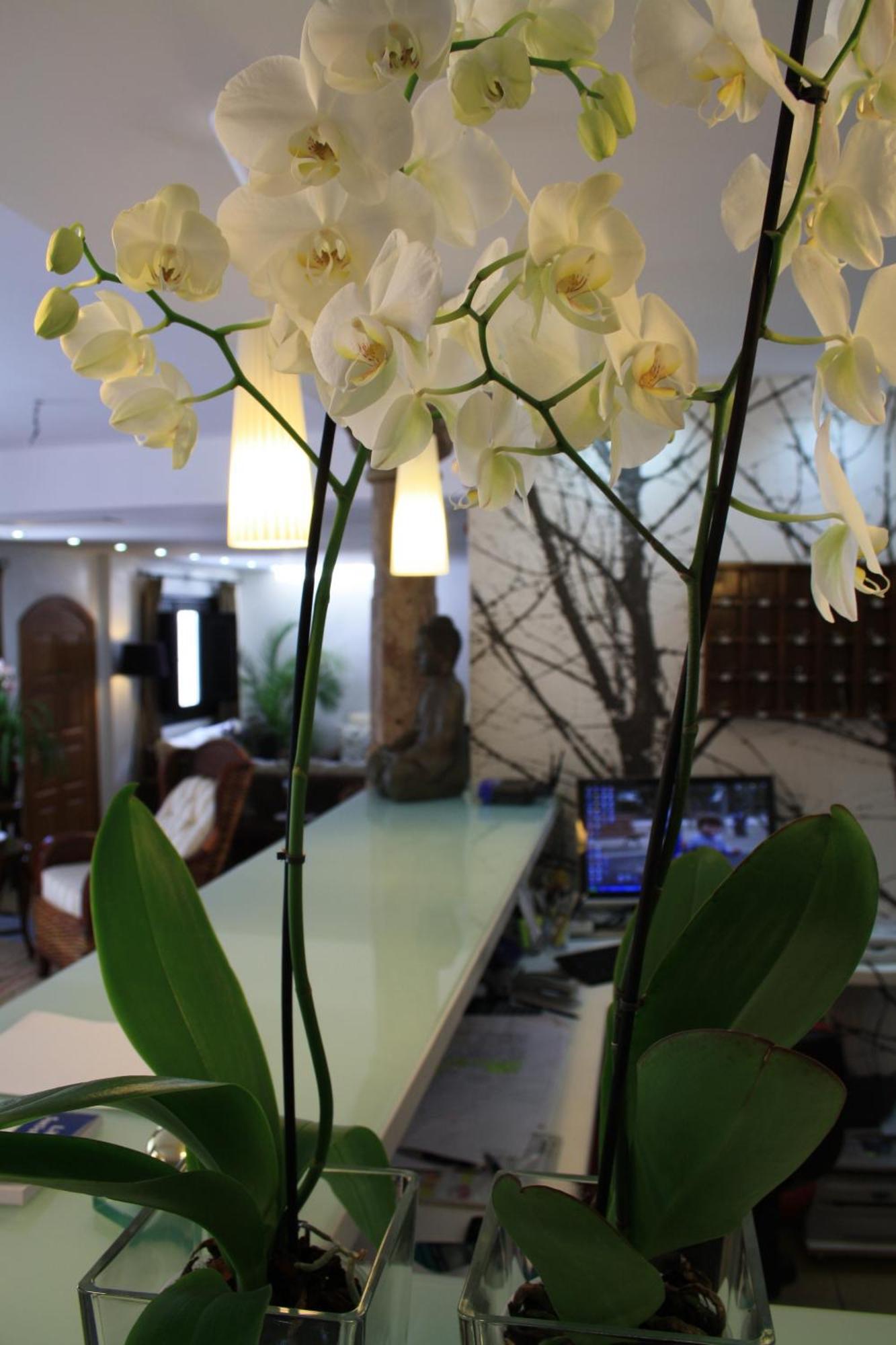 Santuario San Jose (Adults Only) Hotell Eksteriør bilde